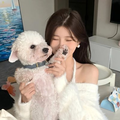 继承之战第四季